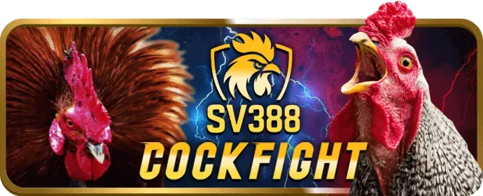 Câu hỏi thường gặp về 89bet60 đá gà
